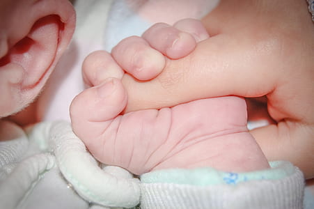 baby holding an adult's index finger closeup photo thumbnail