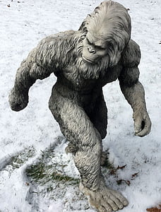 sasquatch illustration thumbnail