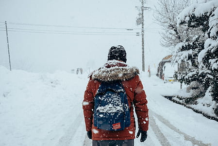 person wearing backpack near snow covered trees thumbnail