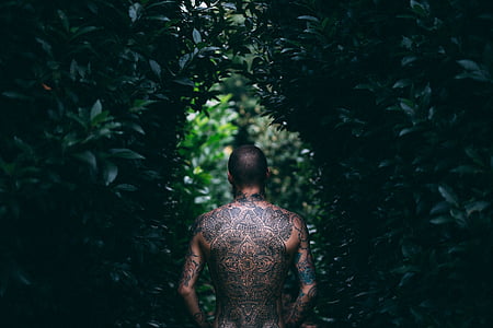 man's back full of tattoos thumbnail
