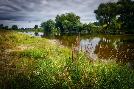green grass beside body of water thumbnail