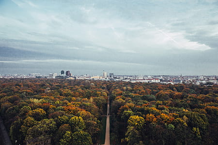 City in the backdrop of fall forest with cloudscape thumbnail
