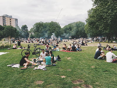 people picnic in park thumbnail
