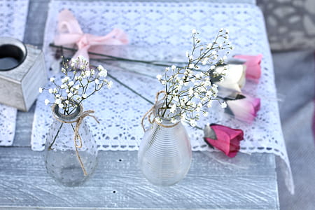 Two White Petaled Flowers With Glass Vases thumbnail