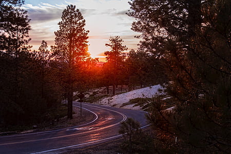 time lapse photography of blind curve road under sunrise thumbnail