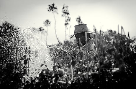 grayscale photography of person watering plants thumbnail