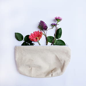 pink and purple flowers thumbnail