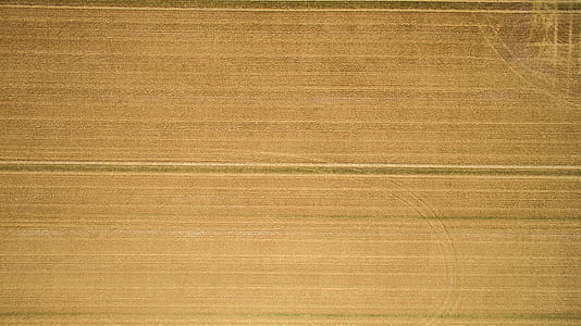 brown wooden board thumbnail