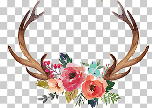 Deer Antler Flower Moose , Hand painted antlers, multicolored petaled flowers with two brown animal horns painting PNG clipart