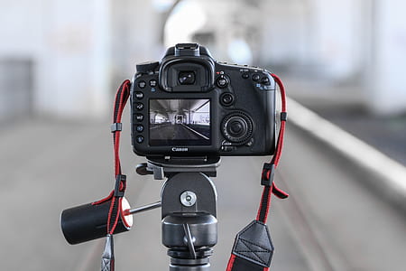macro photography of black Canon DSLR camera thumbnail