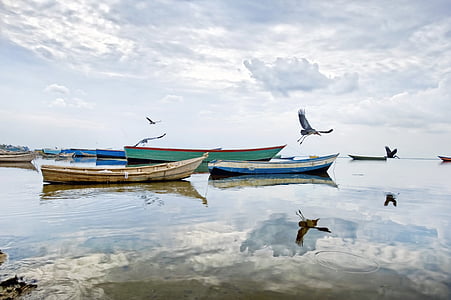 several boats at dock thumbnail