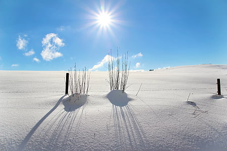 snowfield under blue sky during golden hour thumbnail