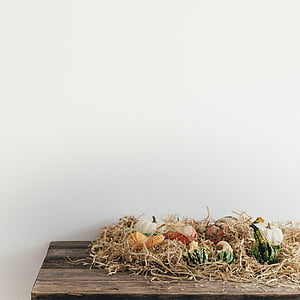 squash on brown grass thumbnail
