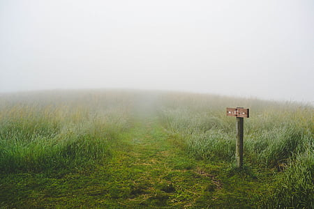 brown wooden signage on grass field thumbnail