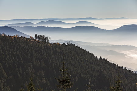 mountains with trees illustration thumbnail