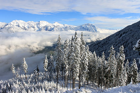 snow on white mountains and trees thumbnail
