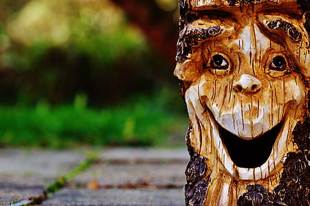 brown tree thumbnail
