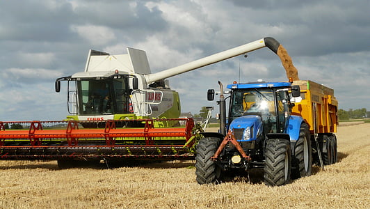 white and green harvester beside blue tractor with yellow trailer thumbnail