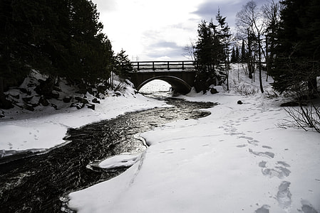 Landscape of the Cascade River as it goes towards the bridge at Cascade River State Park, Minnesota thumbnail