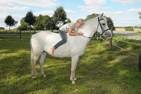 girl riding white horse standing on grass field at daytime thumbnail