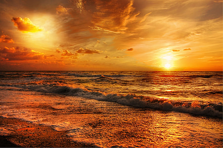 photo of seashore during golden hour thumbnail