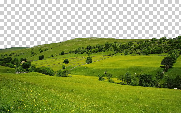 High-definition television Nature 1080p , Nature Free , green grass field during daytime PNG clipart