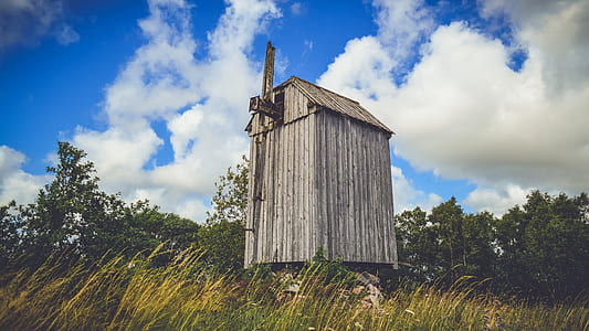 wood, landscape, sky, clouds thumbnail