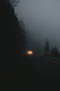 silhouette of trees beside road during foggy daytime thumbnail