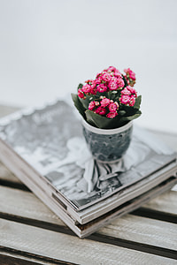 Little pink flowers in a pot with various items thumbnail