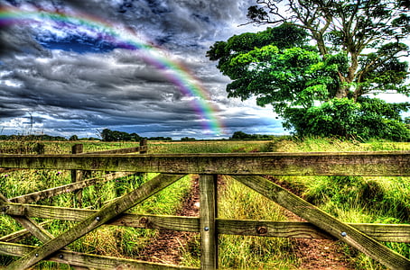 green grass field with rainbow under blue cloudy sky thumbnail