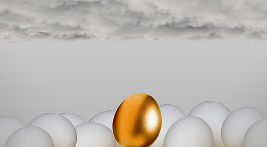 Golden Egg thumbnail