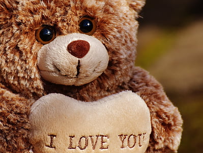 brown bear plush toy thumbnail