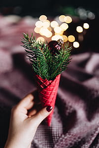 Burgundy Christmas Decorations thumbnail