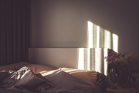 bed beside window thumbnail