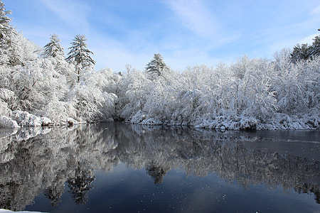panoramic photo of body of water and snow-covered trees during daytime thumbnail