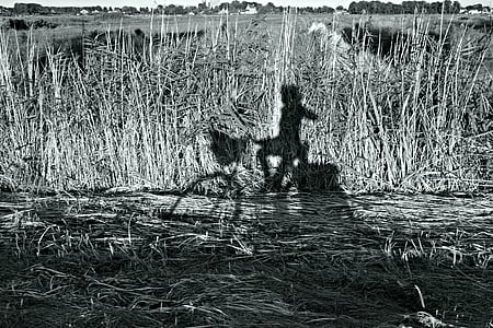 silhouette of person riding bicycle thumbnail