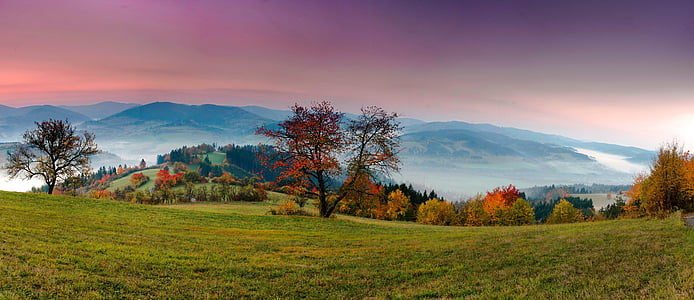 low angel photograph of tree with mountain thumbnail