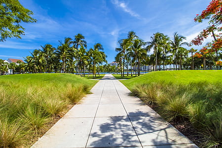 gray concrete road surrounded with green grass thumbnail