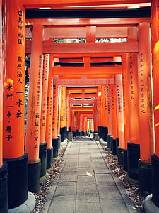 red wooden Chinese arch hallway thumbnail