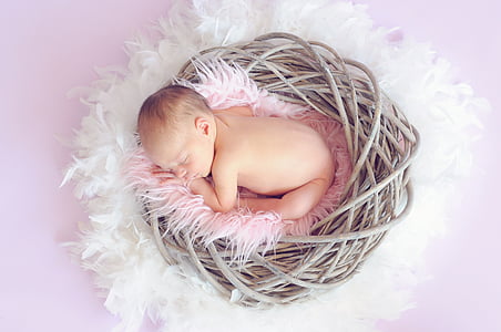 baby on pink nest sleeping thumbnail