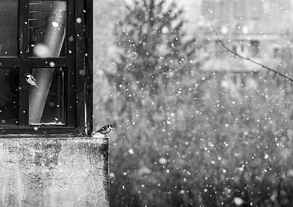 grayscale photo of concrete house thumbnail