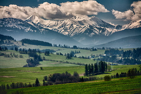 green grass and trees field under blue sky thumbnail