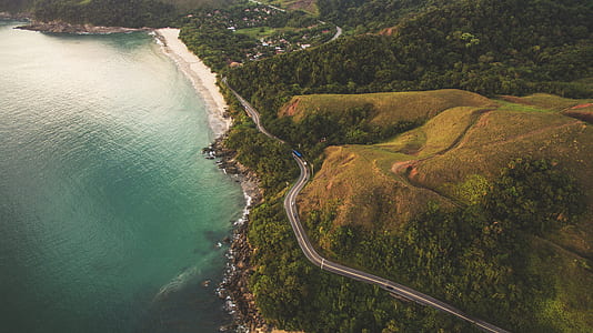 aerial photo of island with trees thumbnail