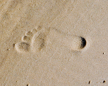 foot print on the sand thumbnail