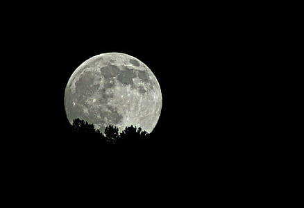 full moon over silhouette of trees thumbnail