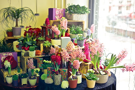 A flower shop display section with variety of flowers and plants on the table during the day time thumbnail