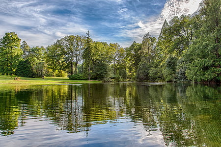 body of water with tall trees ahead during daytime thumbnail