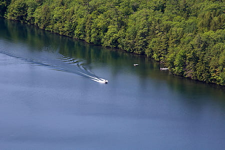 boat, trees, lake, river thumbnail