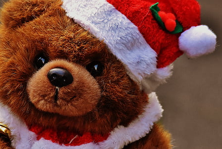 bear plush toy thumbnail