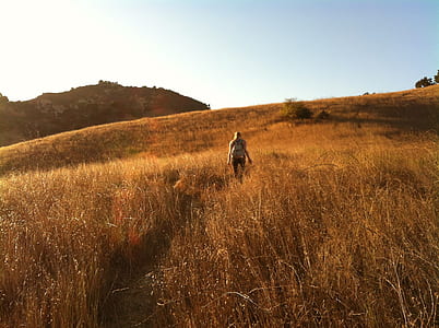 Woman Walking on Brown Grass Field Under Blue and White Sky during Daytime thumbnail